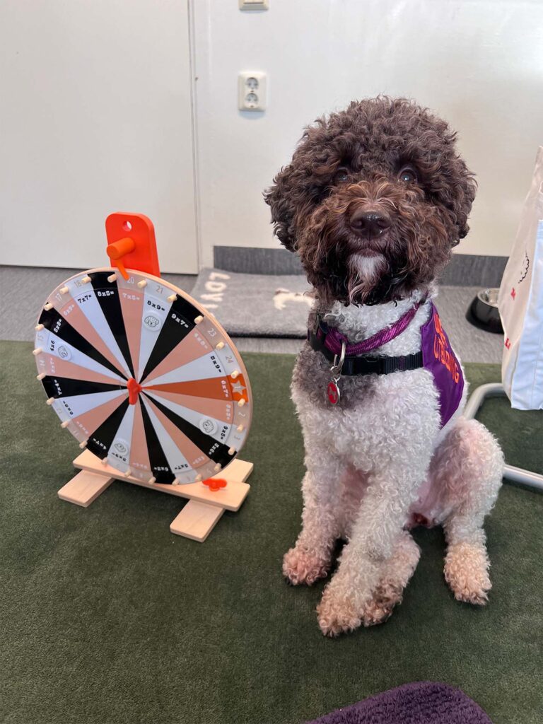 Malin & Lovis Hundteam